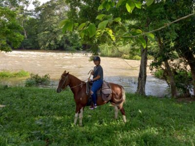 Hoserback-Riding-Featured